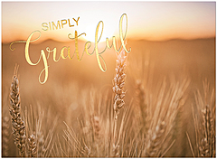 Simply Grateful H2556U-AA